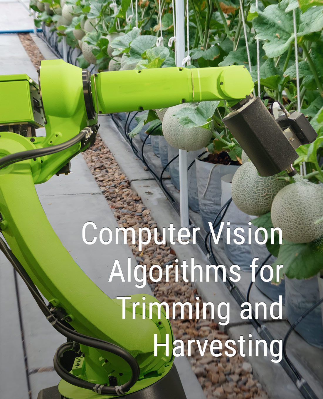 Computer Vision Algorithms for Trimming and Harvesting